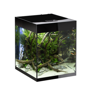 AQUAEL Аквариум  GLOSSY   50  D&N черный  (135 л) высокий